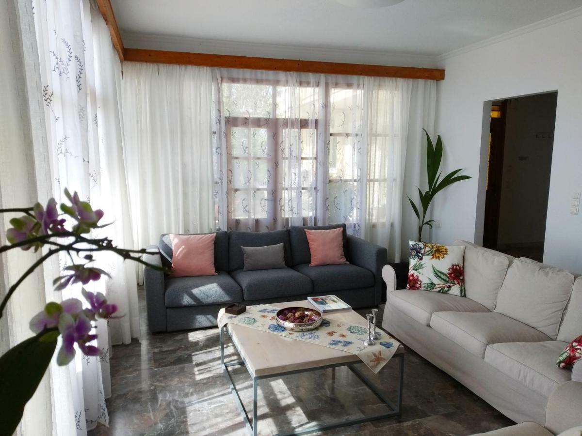 Kontis Apts Apartment เปเลคาส ภายนอก รูปภาพ